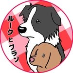 ルークフランパパのプロフィール画像