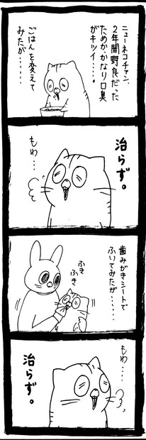 デンタルふりかけ タイアップ2
