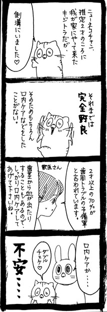 デンタルふりかけ タイアップ3